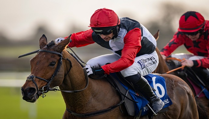 Dundalk Race cards 3 December 2025 — horses preparing in the parade ring under winter light