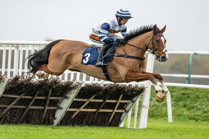 Lingfield race cards December 3 – horses in parade ring on a winter afternoon