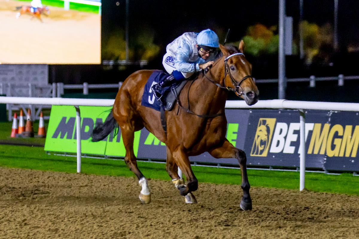 True Colors warming up for the Winter Oaks Trial at Lingfield Park