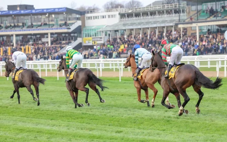 Newcastle Race Cards December 5 – Evening Racing at Gosforth Park