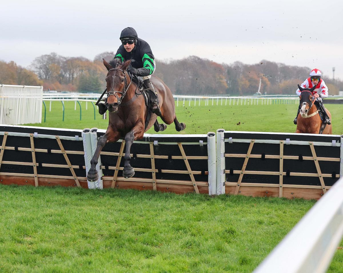 Mydaddypaddy Maintains Unbeaten Record at Haydock