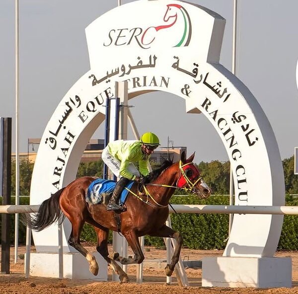 Sharjah race cards 7 December horses and jockeys in action