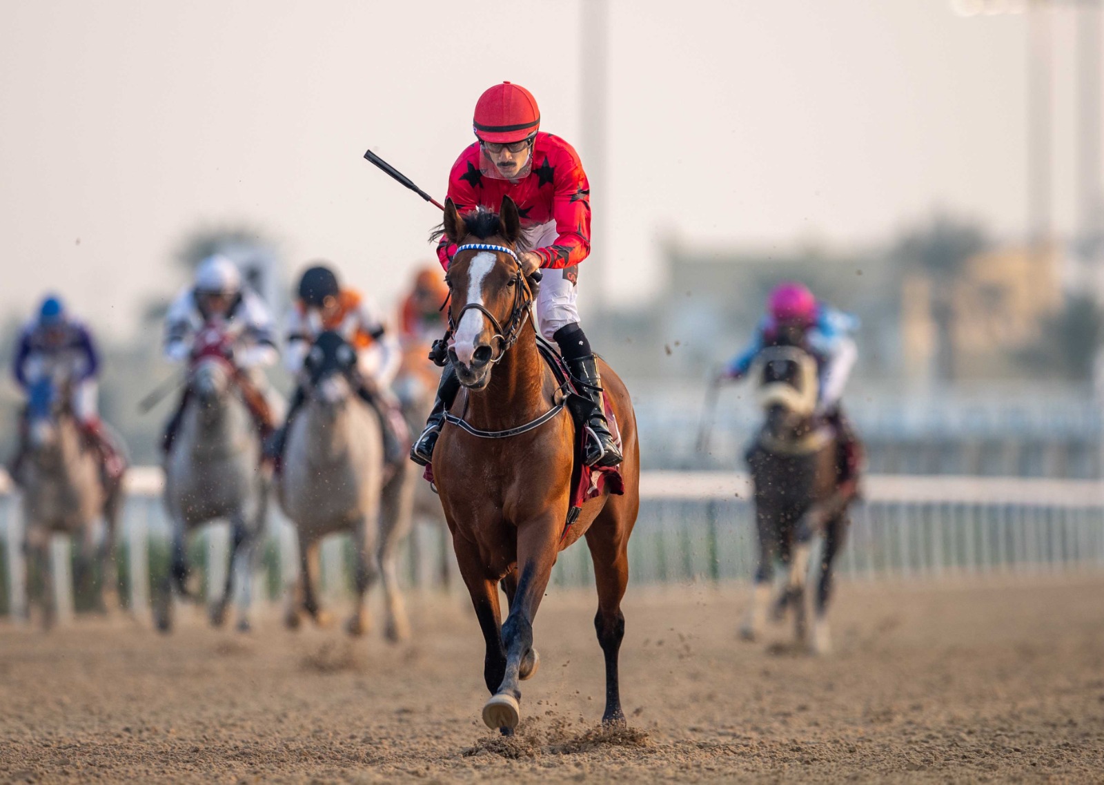 Qatar race cards 06 Dec – AL Uqda 2YO Cup action