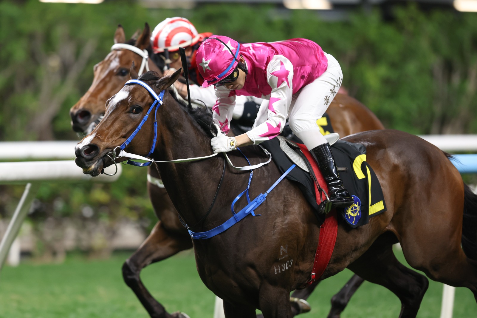 Caspar Fownes celebrates a double at Happy Valley in the 2025/26 season