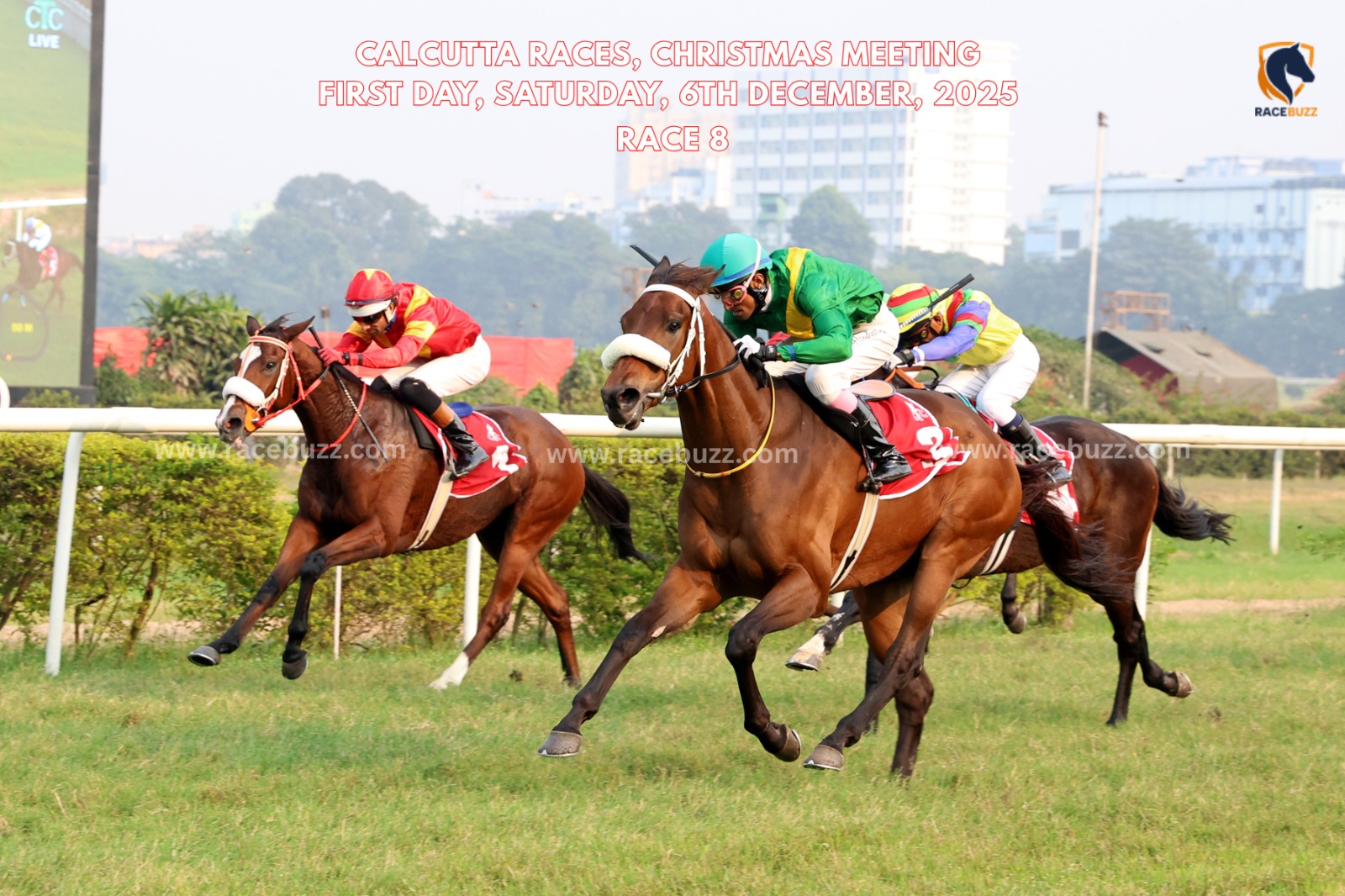 Magnifico winning Aboline Handicap Div II – Calcutta Race Results 6 December