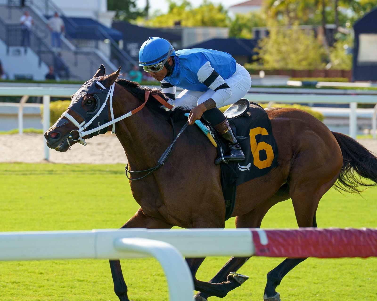 Gulfstream Park preparing for Reef Runner Janus Stakes