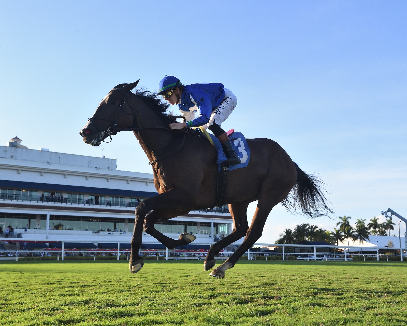 Summer Cause winning the H Allen Jerkens Handicap at Gulfstream Park