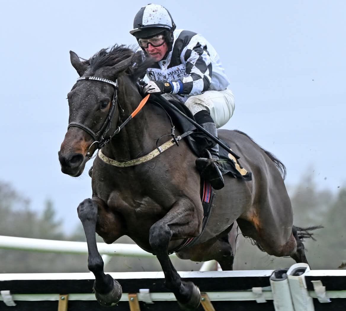 Ambiente Friendly winning the Ambiente Friendly Hurdle Win