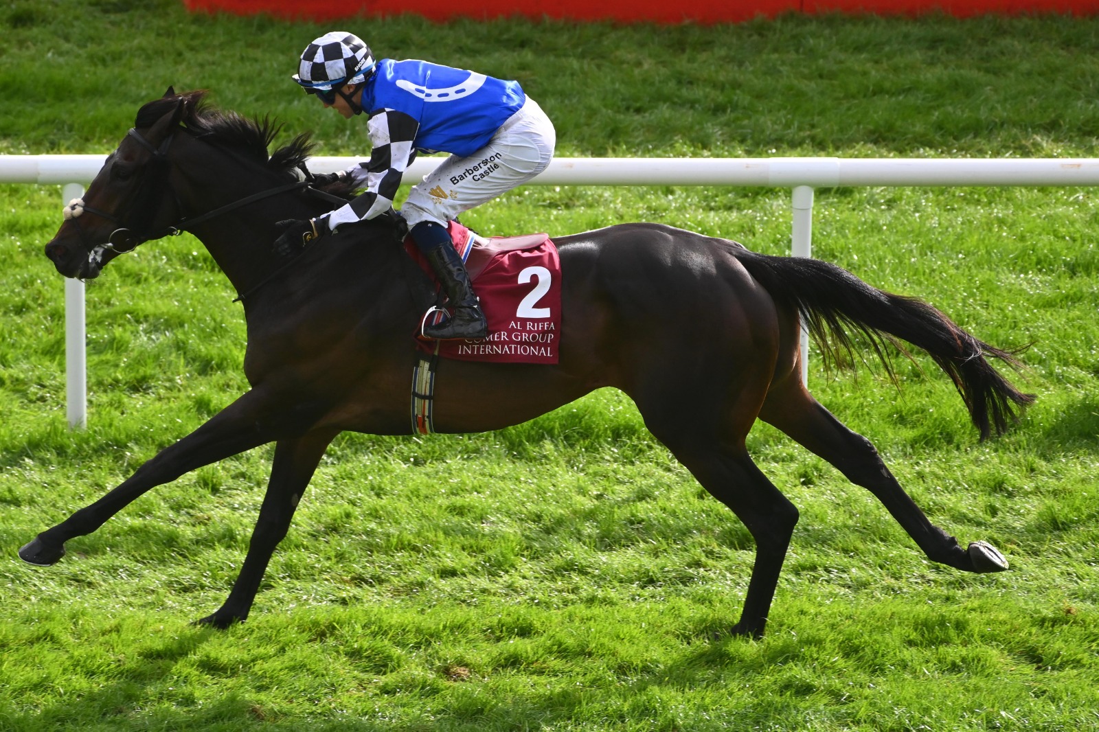 Al Riffa preparing for the Al Riffa Hong Kong Vase