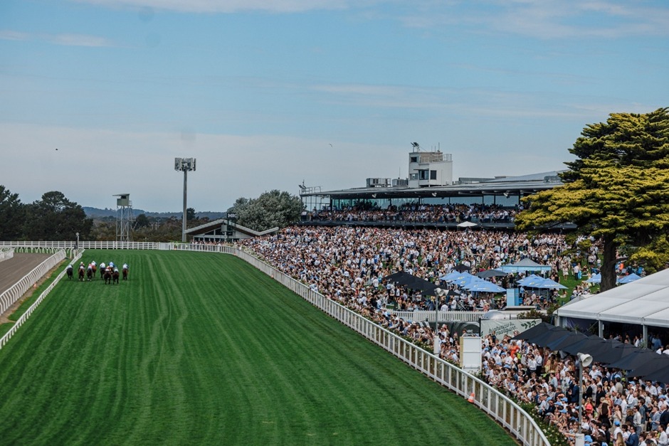 Sandown Park race cards 10 Dec preview graphic