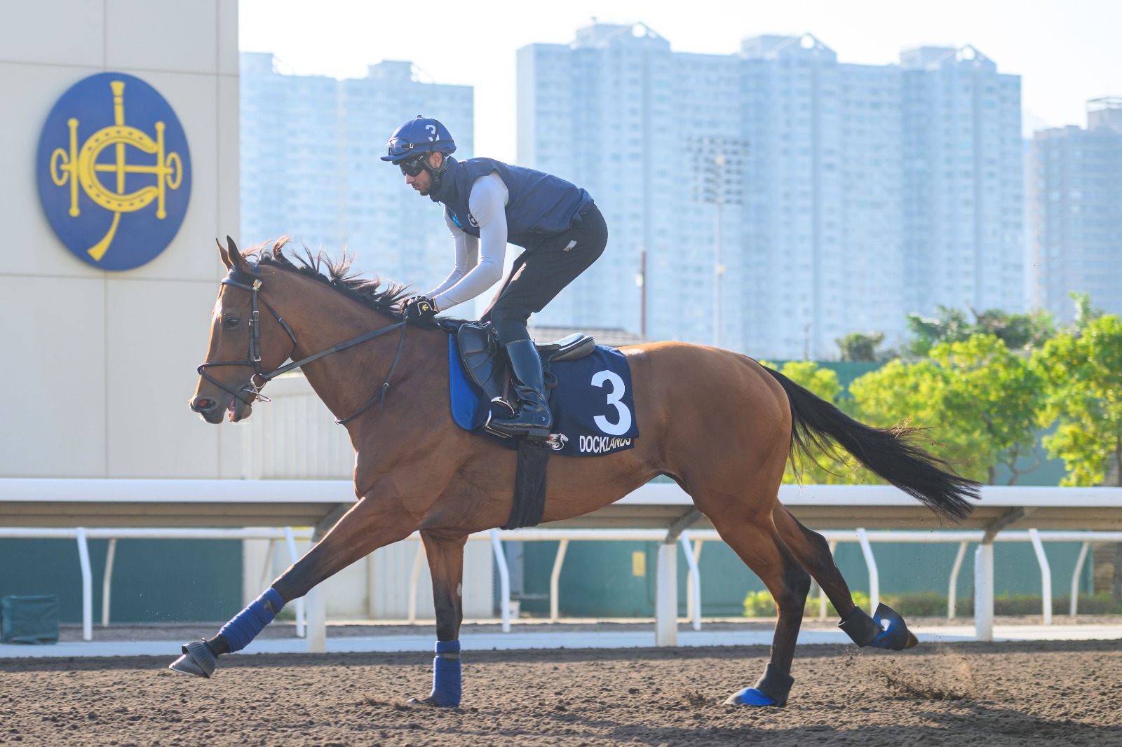 Docklands Hong Kong Mile preparation at Sha Tin