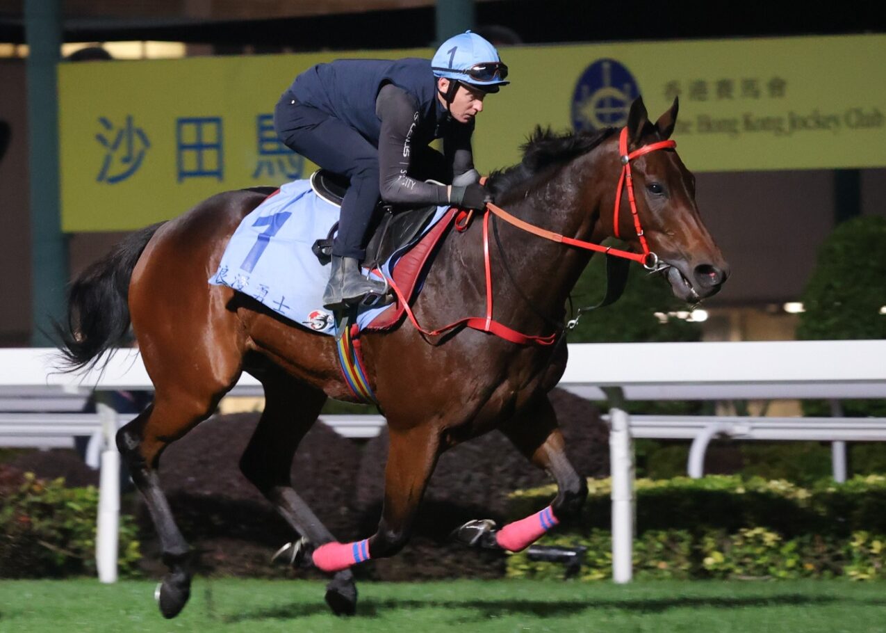 Romantic Warrior Hong Kong Cup training at Sha Tin ahead of 14 Dec