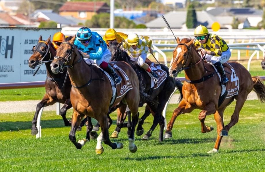 Newcastle Race Cards 11 December runners approaching the start