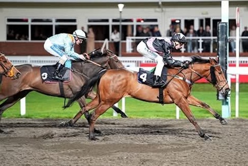 Chelmsford City Race Cards 11 December evening meeting preview