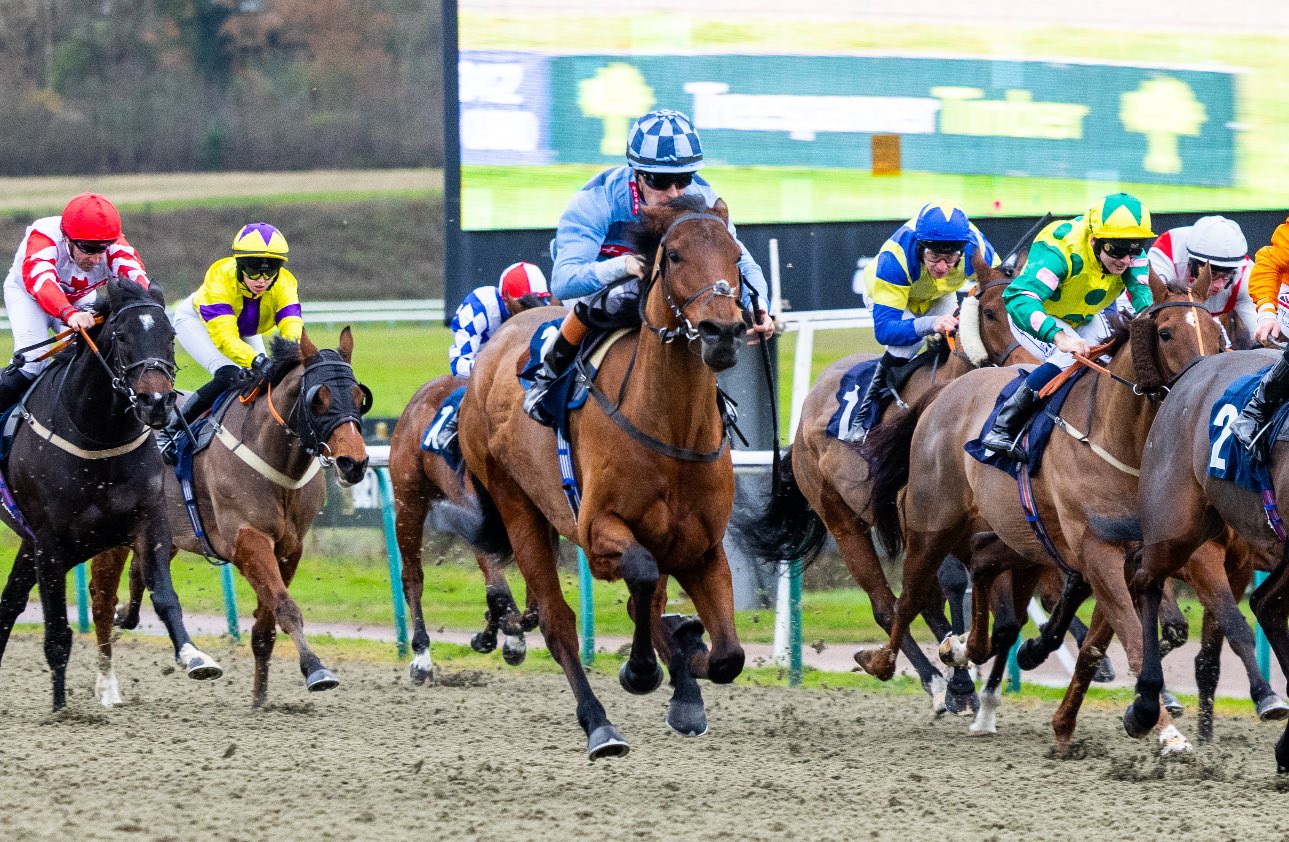 Lingfield Park Race Cards 13 December 2025 overview