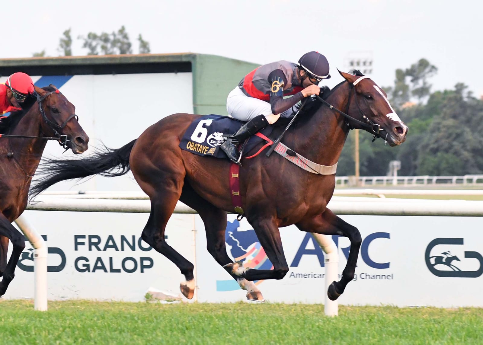 Argentina race result 13 december as Obataye wins at San Isidro