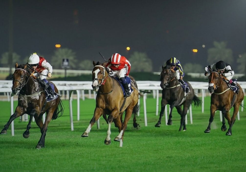 Bahrain race cards 18 December National Day Cup and evening races