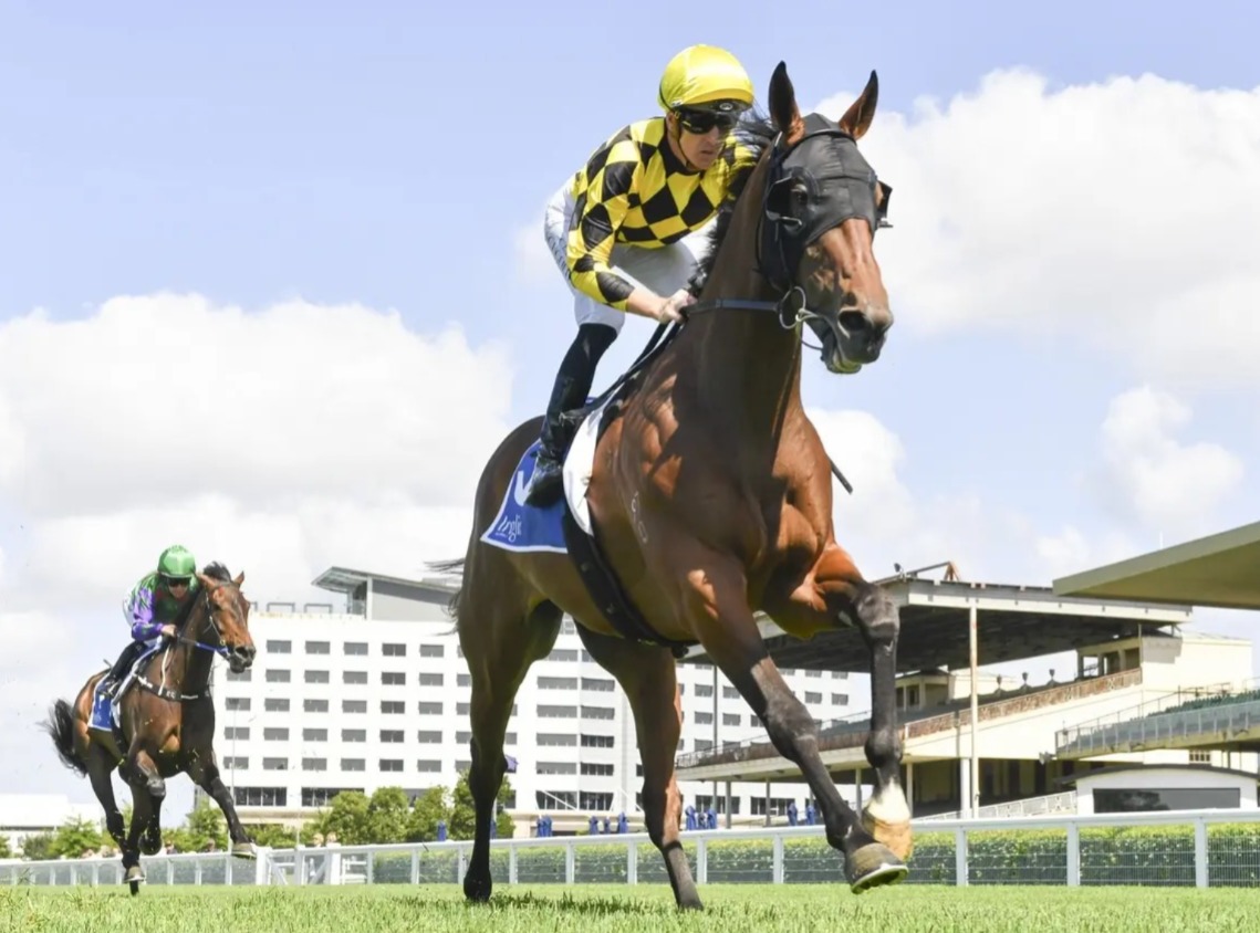 Australia race cards 17 December at Warwick Farm with BRAVE SMASH