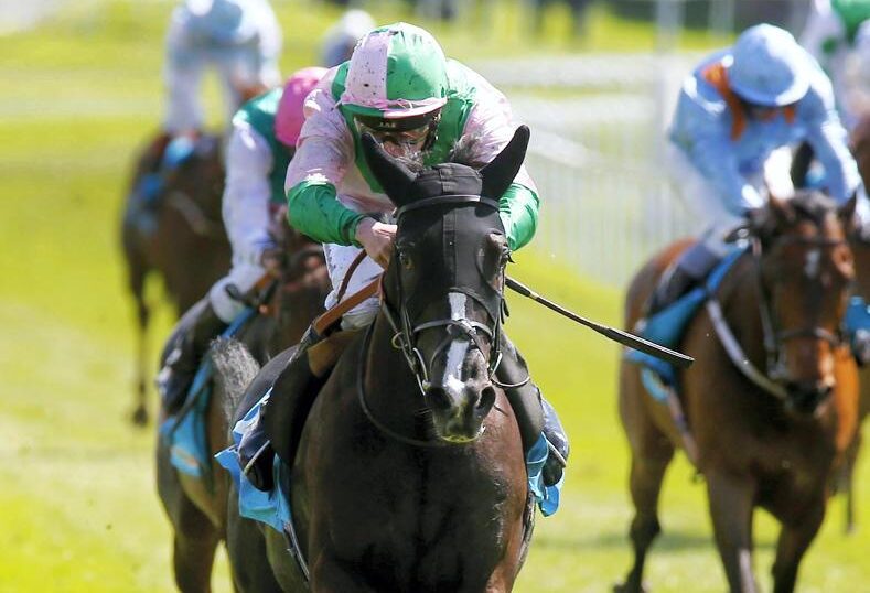 Al Ain Race cards 18 December evening Purebred Arabian racing