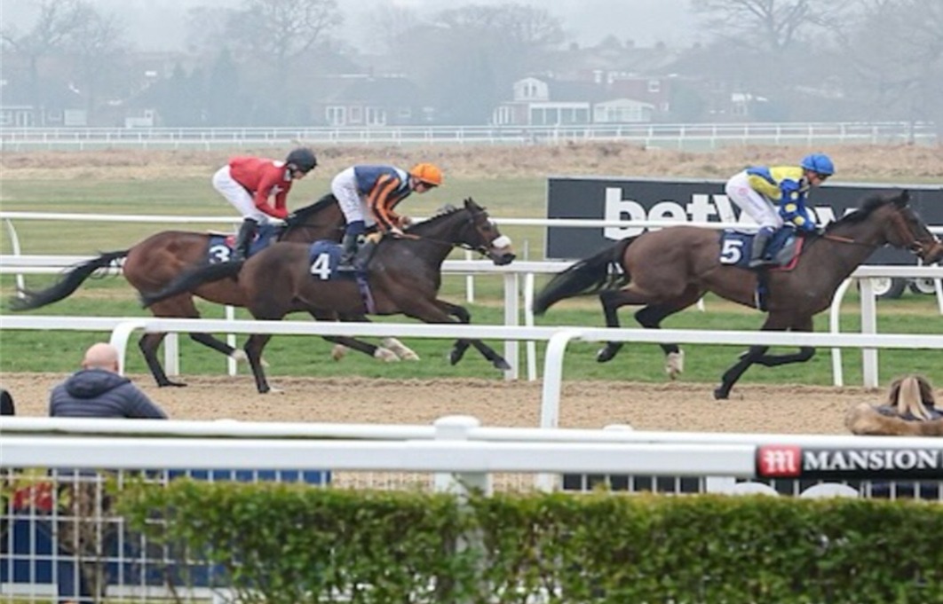 Newcastle Race Cards 19 December with horses preparing for the races