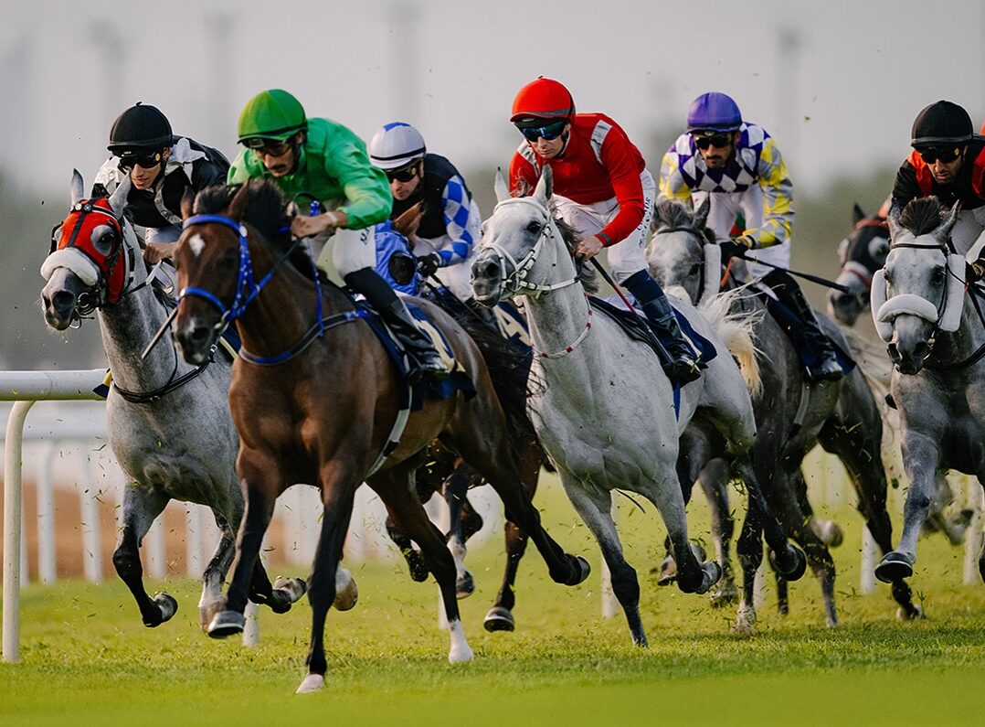 Abu Dhabi race cards 20 december at Abu Dhabi Turf Club