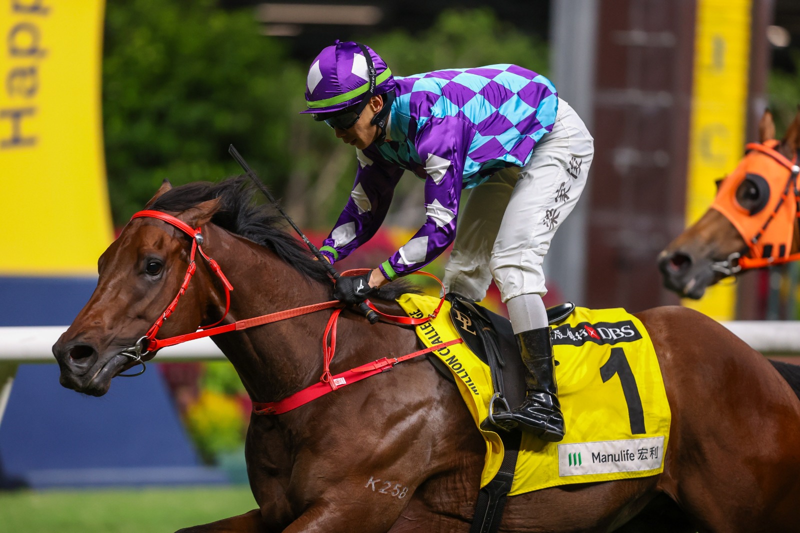 Happy Valley racecards 23 December featuring Regal Gem in Neptune Handicap