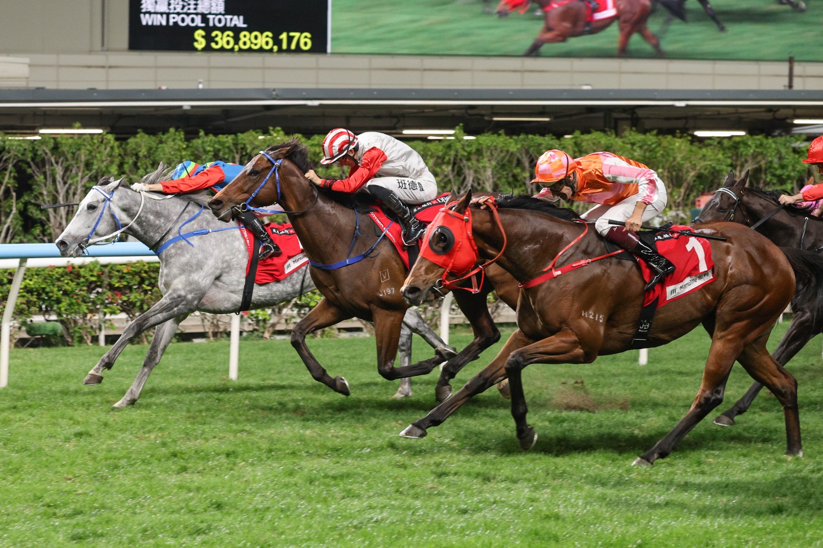 Hong Kong race results 23 December from Happy Valley featuring Kaholo Angel