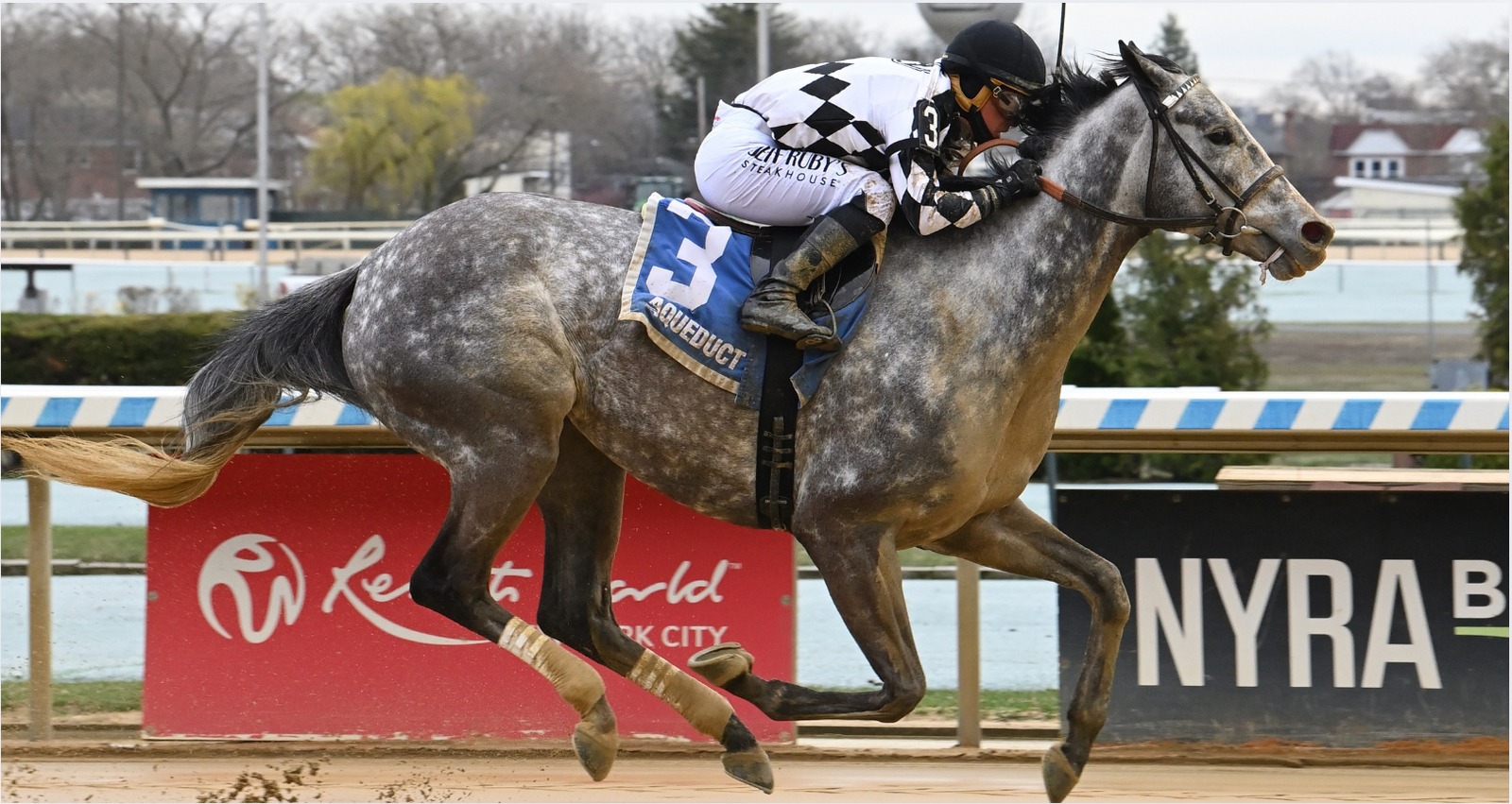 Aqueduct Racecards 27 December featuring the Alex M. Robb Stakes