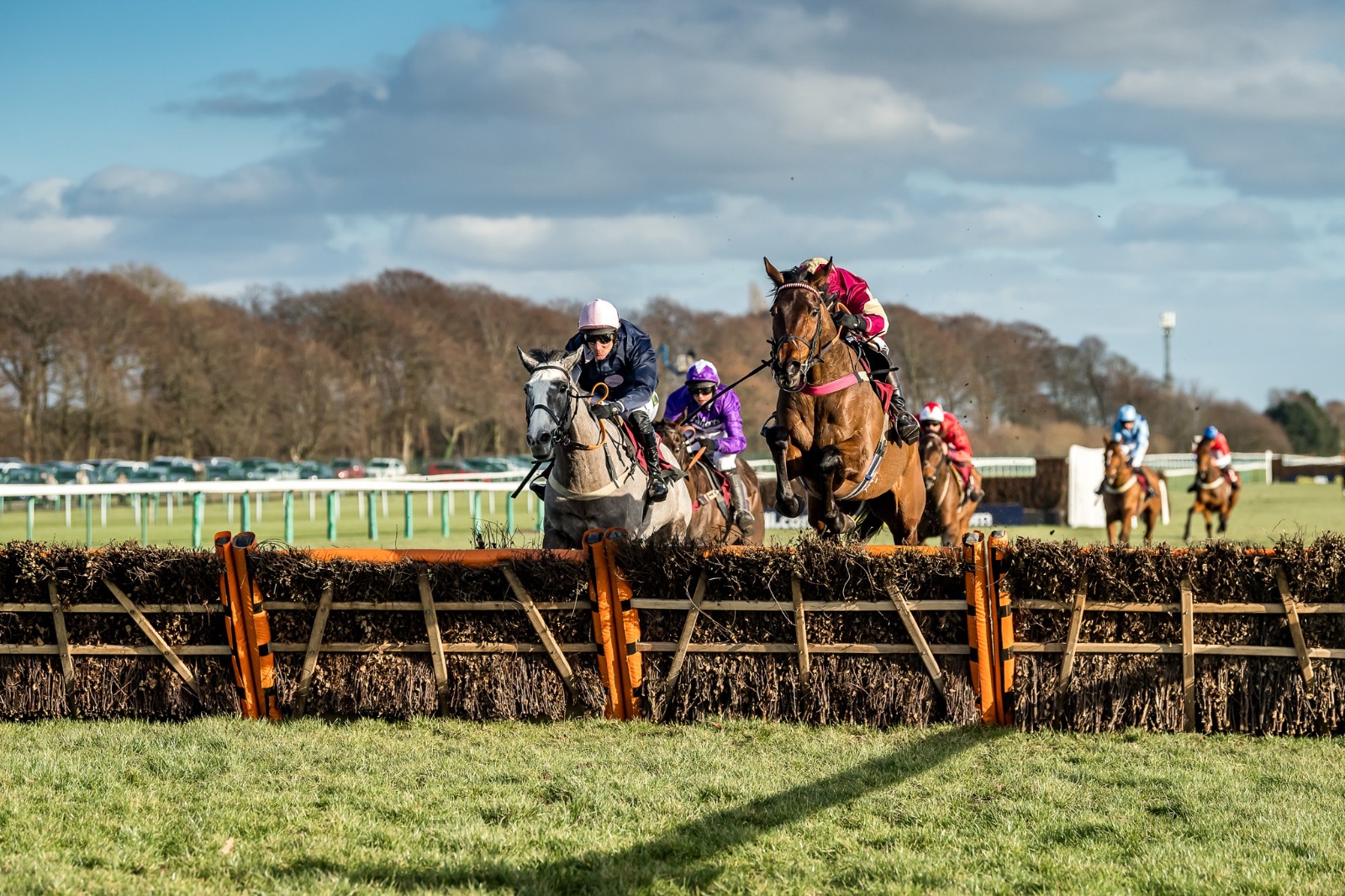 Haydock Racecards 30 December previewing a stamina-focused National Hunt card