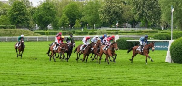 Deauville Racecards 30 December previewing nine-race year-end handicaps