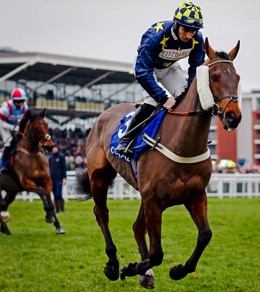 Newbury racecards 29 December featuring Coral Challow Novices Hurdle