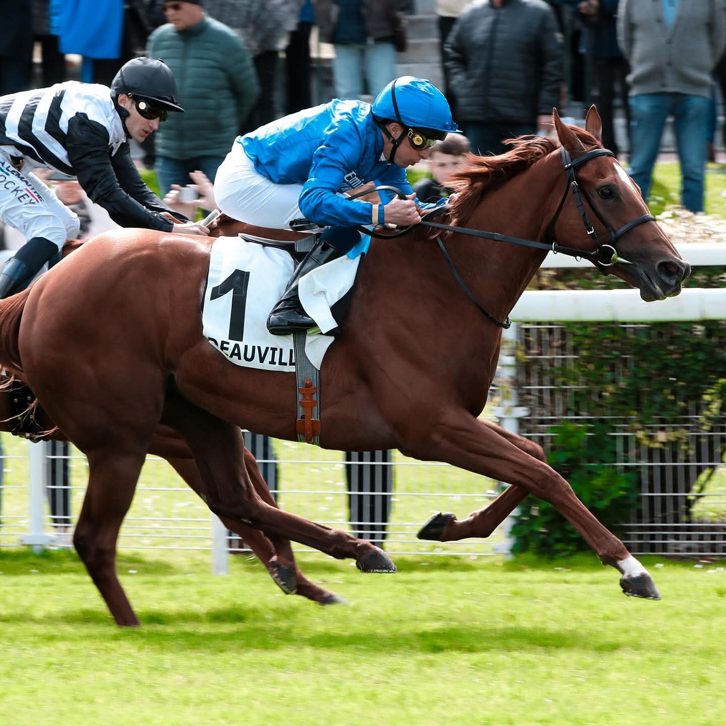 Evening racing at Deauville Race Cards 29 December