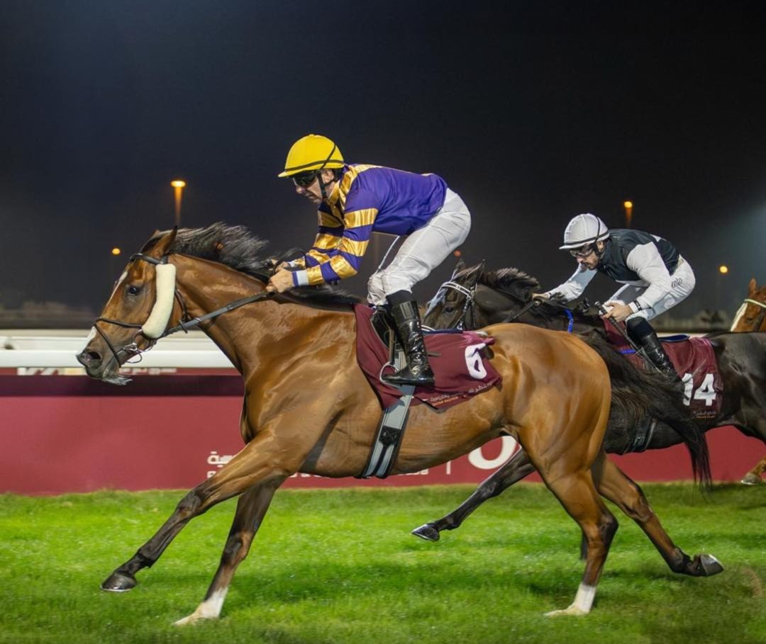 Qatar Racecards 31 December at Al Uqda Racecourse