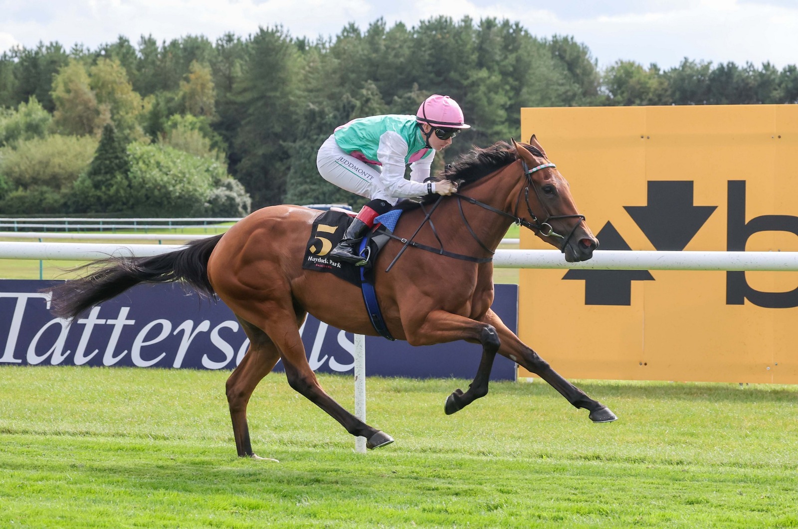 Haydock Race Results 30 December feature Handicap Chase winner Egbert
