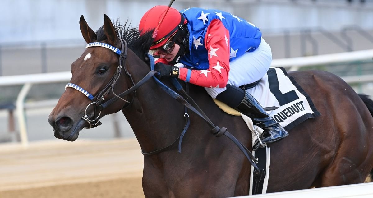 Aqueduct Racecards 1 January New Year racing card