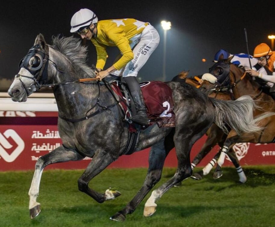 Qatar Racecards 1 January Umm Al Zubar Cup at Al Rayyan