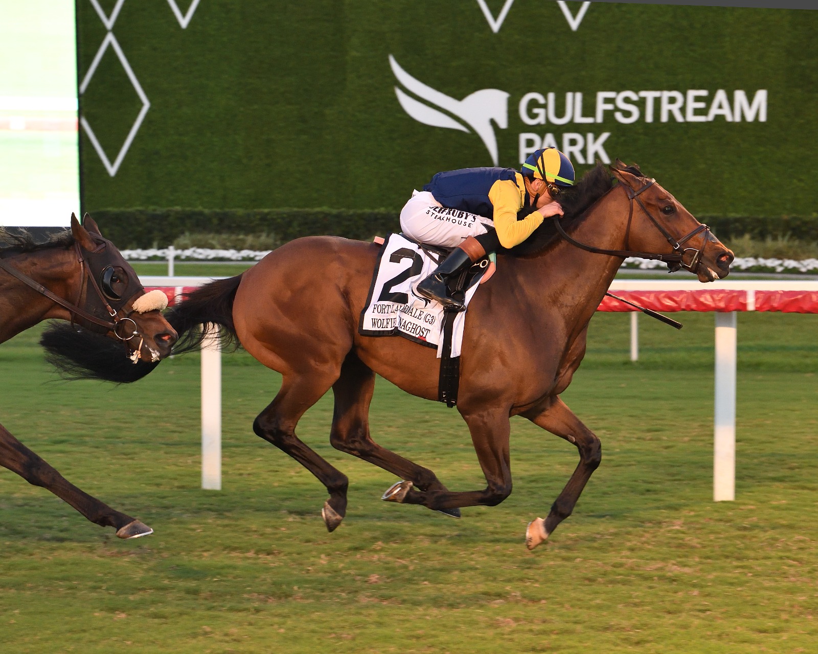 Wolfie’s Dynaghost winning Gulfstream Park race result 20 December