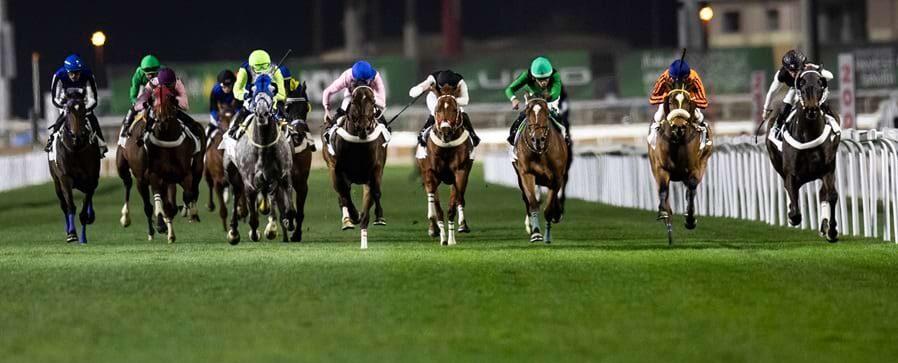 Riyadh race cards 1 January at King Abdulaziz Racecourse