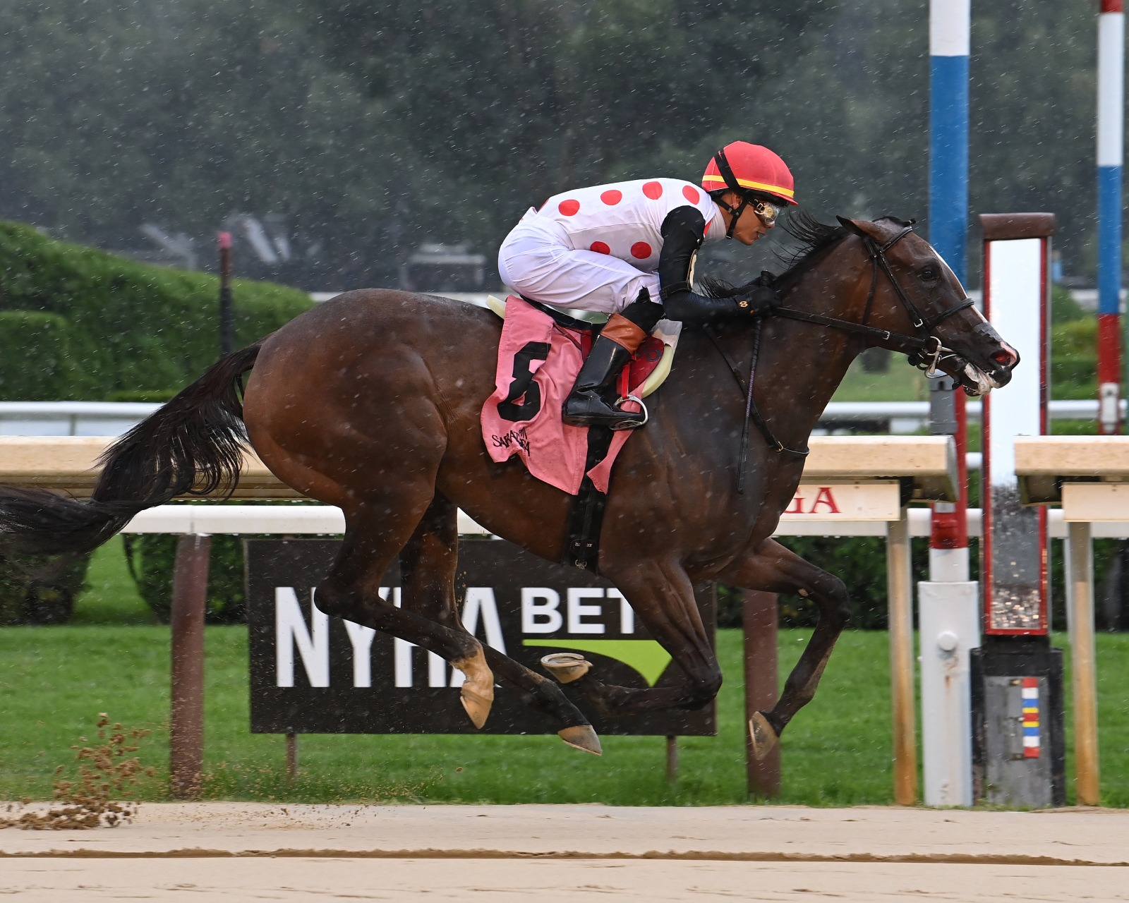 And One More Time Stakes filly racing at Gulfstream Park 2025