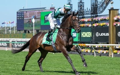 Flemington race cards 31 December New Year’s Eve racing at Victoria Racing Club