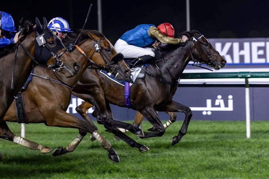 Qatar Race Results 24 December Muaither Cup at QREC