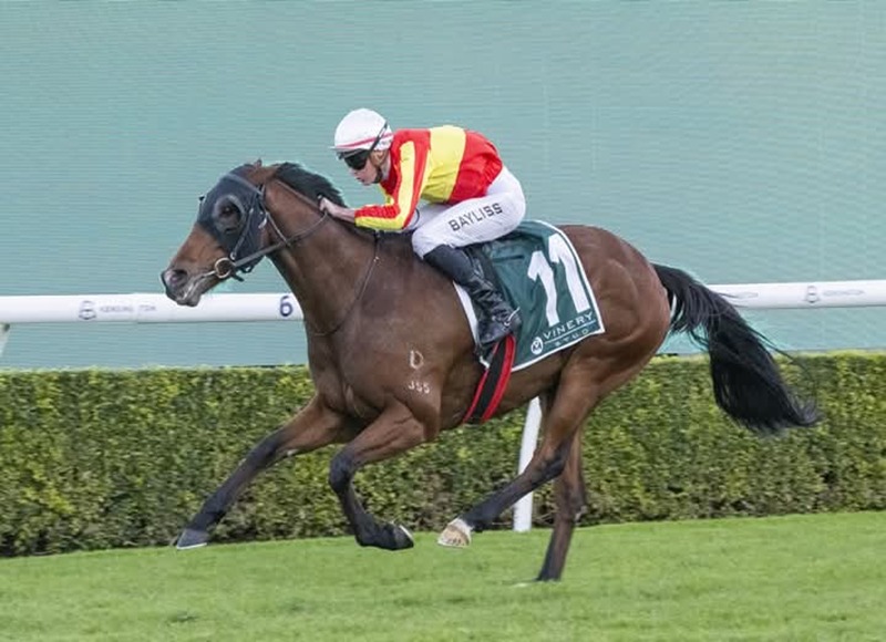 Canterbury Park Race Cards 1 January Racecourse twilight racing 2026