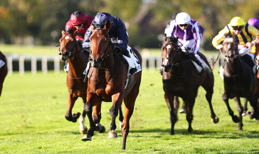 Horses racing over jumps at Fontainebleau Race Cards 9 December, winter jumps meeting