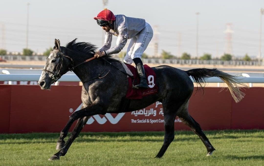 Al Uqda horses in action Qatar race cards 4 December 2025