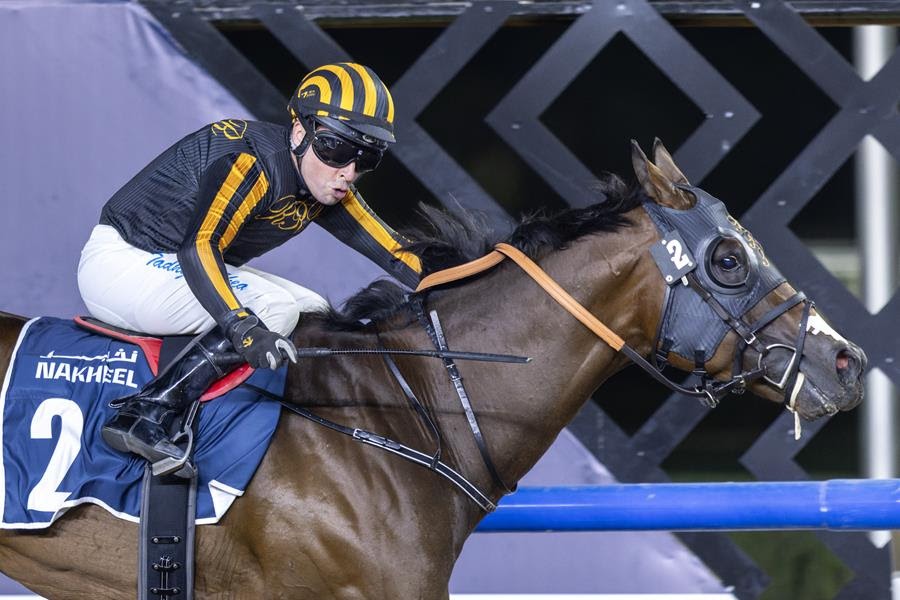 Meydan race results 12 december featuring Drew’s Gold at Meydan Racecourse