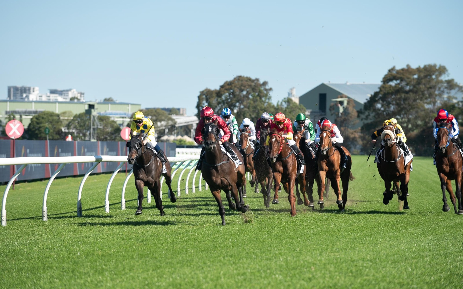 Australia race cards 5 December schedule at Royal Randwick