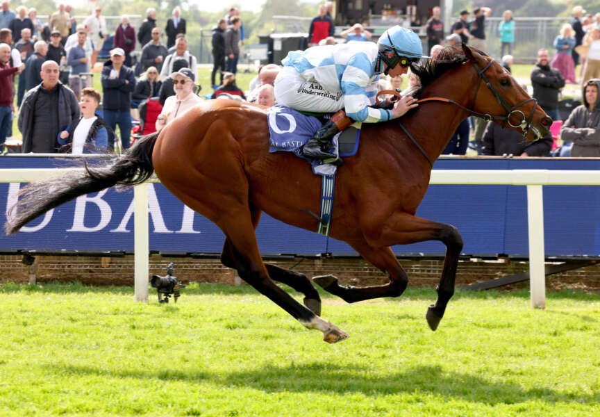 Bahrain race cards 5 December – NBB Arabian Cup action