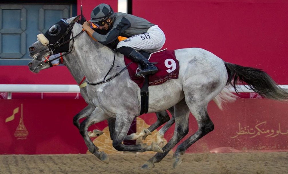 Qatar Race Results 21 December – Bint Mohaather winning Qatar Oaks