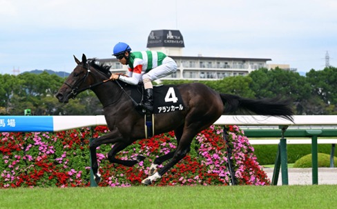 Hanshin Race Cards 14 December