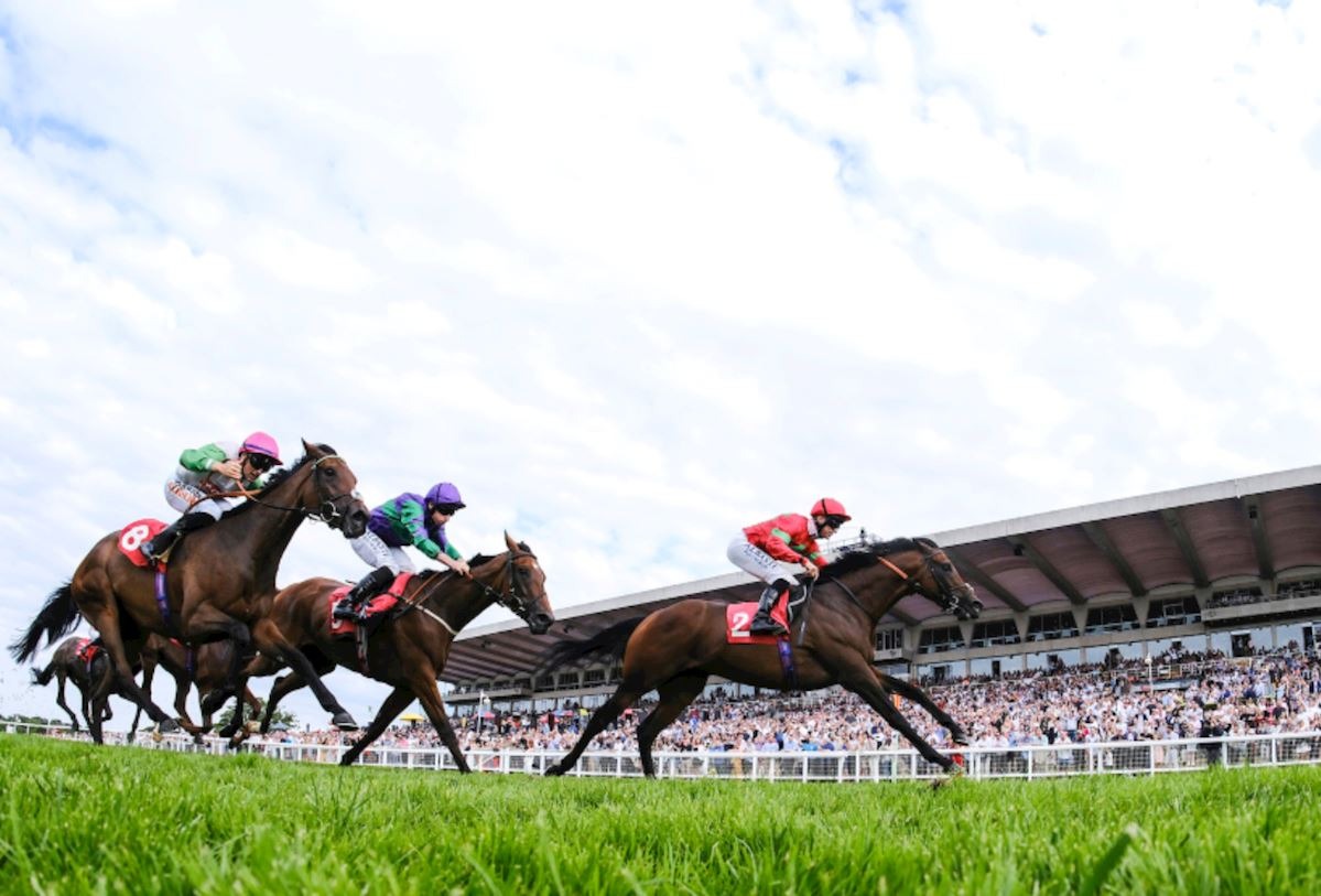 Sandown Park Princess Alice Hospice partnership at Sandown Park.